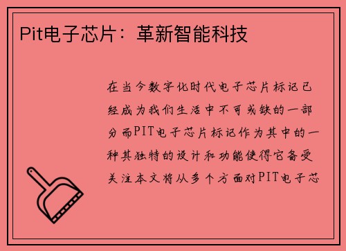 Pit电子芯片：革新智能科技
